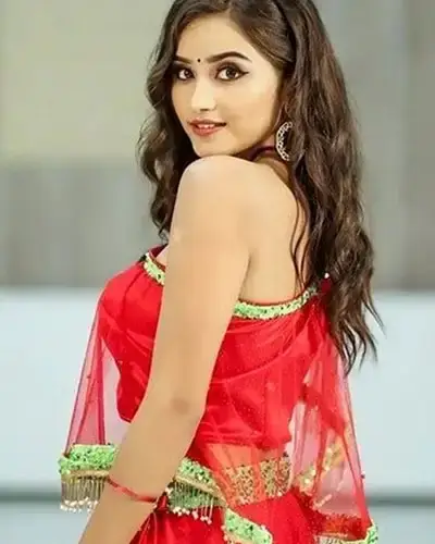 Call Girls Service Sridungargarh